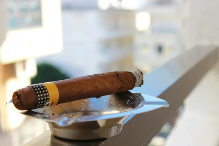 A cigar resting on a steel ashtray with a short, firm grey ash.