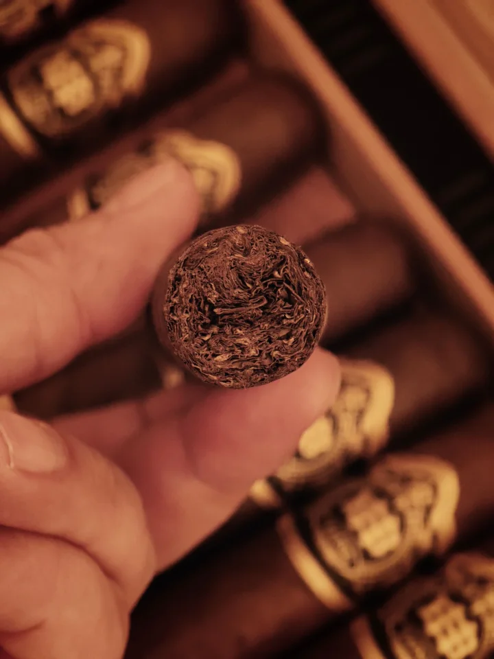 A hand holding a cigar with its open foot facing the camera.