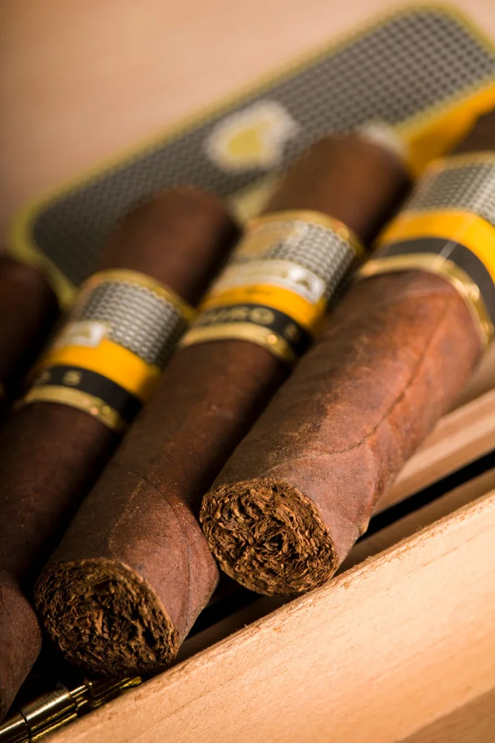 Close-up of unlit cigars in a box, showing the open feet.