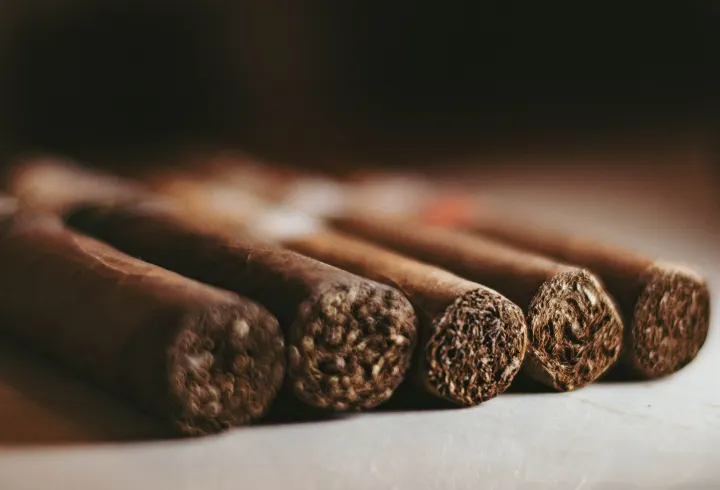 Five cigars lying side by side, open feet facing the camera, showing the packed filler leaves.